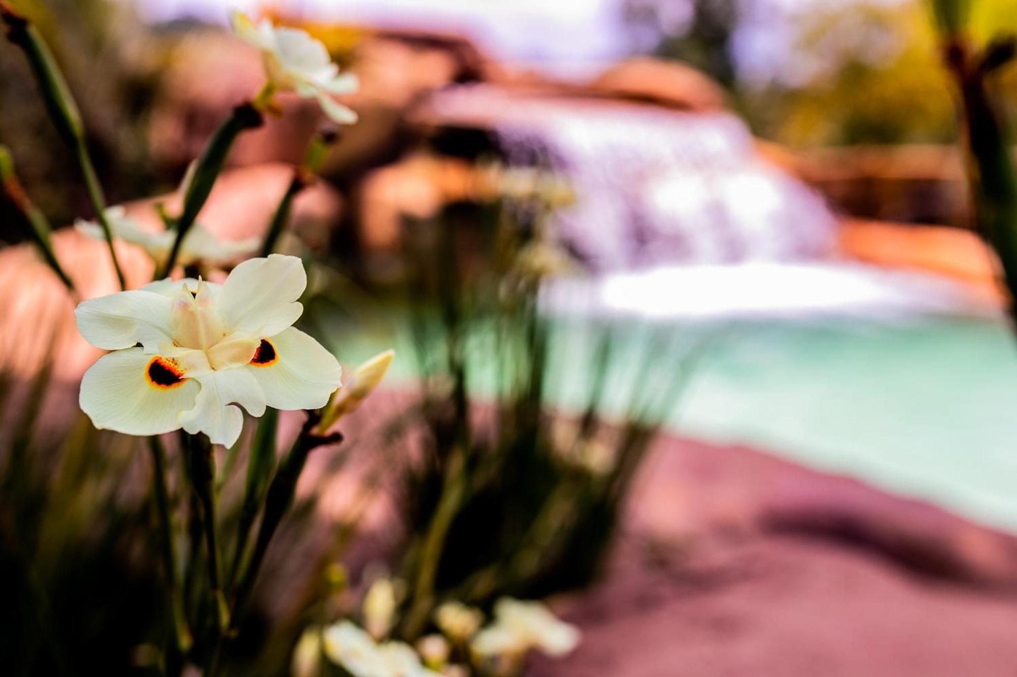 Hotel Fazenda Horizonte Belo บรูมาจิโญ ภายนอก รูปภาพ
